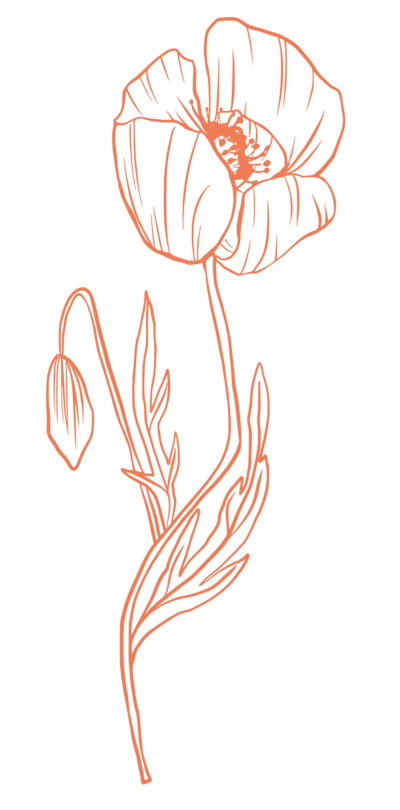 Branding graphic of an poppy with the stem in orange