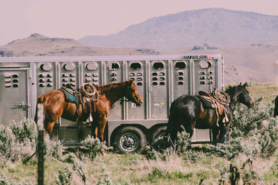 Wyoming scenery of horses