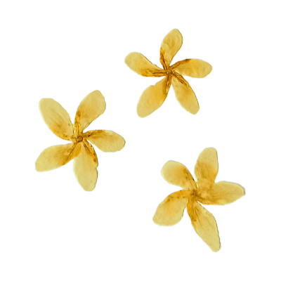 Small yellow flowers web element