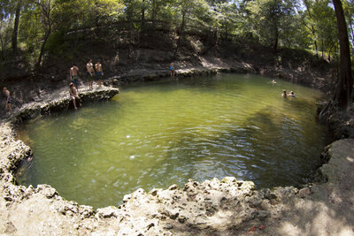 A group of people enjoy swimming in a natural, circular rock pool surrounded by trees in Lafayette County, Florida. The water is greenish, and sunlight filters through the leaves, casting patterns on the surface. A few individuals stand on the rocky edge at Lafayette Blue Springs State Park.