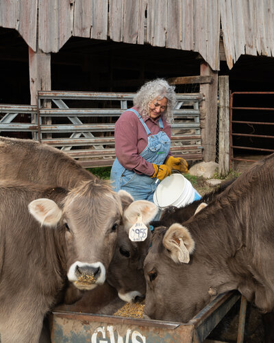 Farm-3
