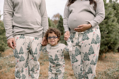 tree_farm_mini_ashleyhessephotography-7