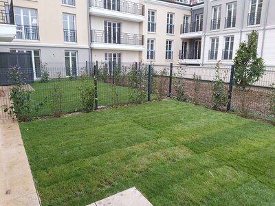 Programme immobilier avec aménagement paysager : pelouse, arbres, clotures