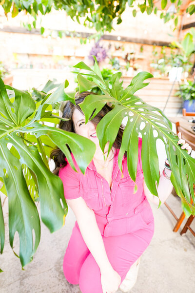 Medium-Light-Monstera