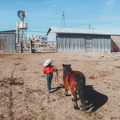 10766850624_IMG_0441-3