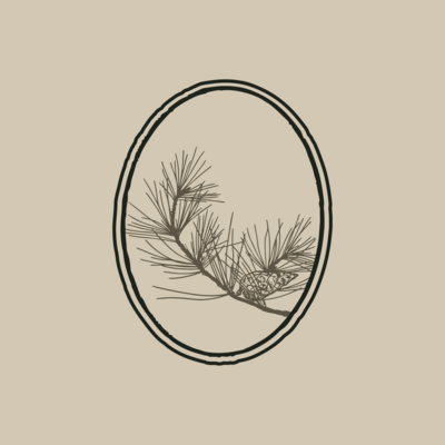 life coach website primary colors