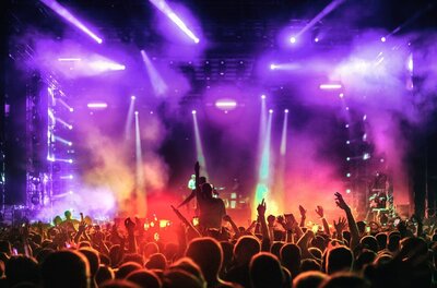 Crowd of people at a concert