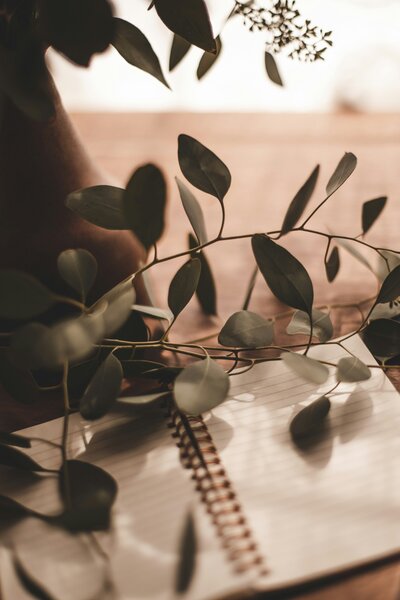Welcome sequence for high-converting email lists for online businesses