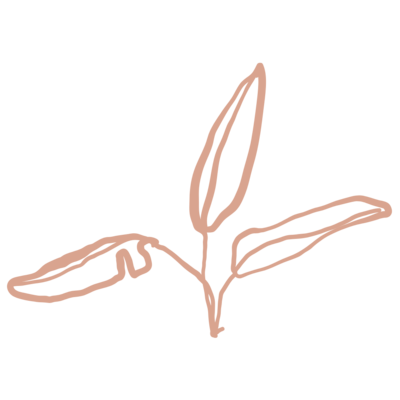 Salmon colored hand-drawn plant illustration