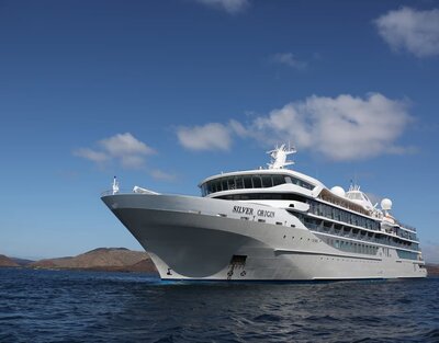 white cruise ship on dark blue water