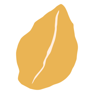 yellow leaf illustration