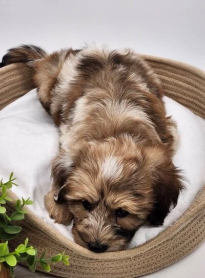 182e96d3-9d67-4148-977a-817cc65e7180