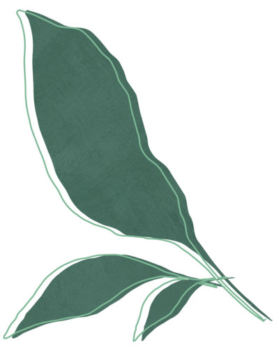 Lori Lubbers Counseling Leaf Design