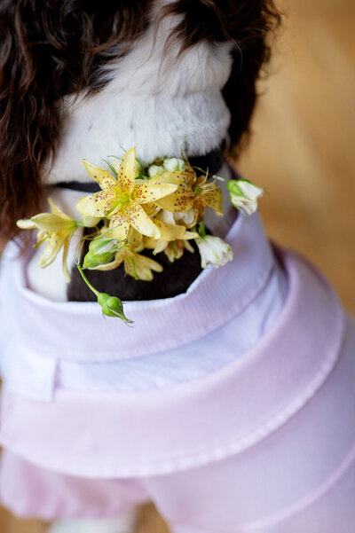 redland-farm-wedding-240521-1621122500px