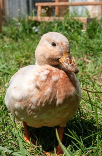 Screen Shot 2025-10-31 at 12.21.15 PM