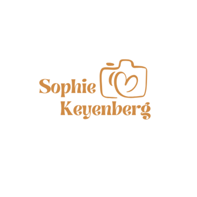 Logo Video Vibes