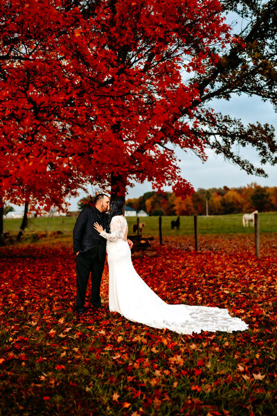 Wedding couple kisses in front of fall leaves foliage and horses