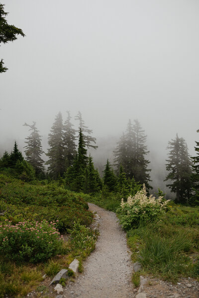 A hiking path along the side of a mountain 