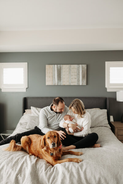 Man and Woman sitting on bed holding newborn baby with dog in front of them