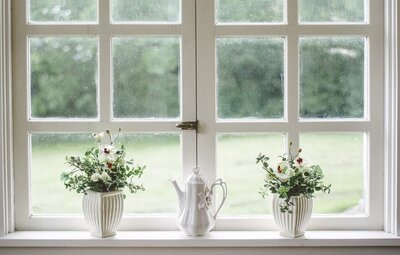 white-2563976_1280