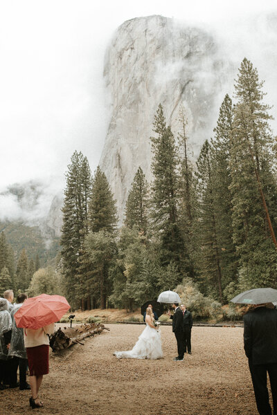 wedding ceremony in front of a giant mountain with pine trees behind them