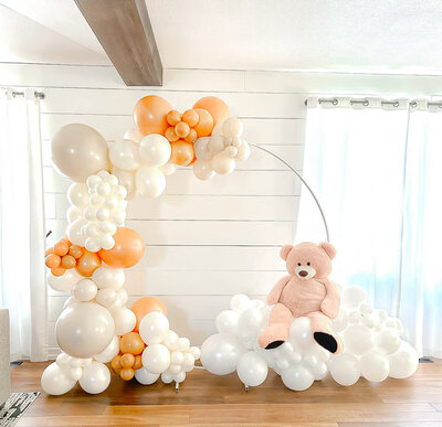 balloons-bismarck-nd-251