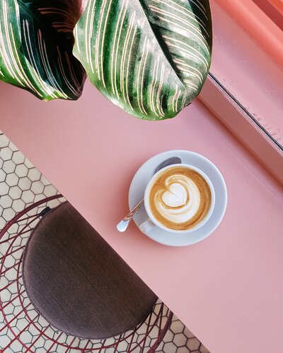 a latte with a standard latte art on a pink counter with a plant and stool in shot for user generated content on socialfizz