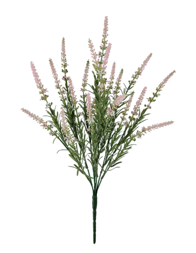 pink lavendar deluxe bush