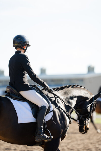 VHCDressage-1