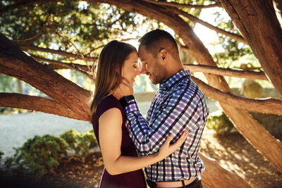 New Jersey Botanical Garden | Couple kissing under a tree at sunset during engagement photo | Ringwood, New Jersey