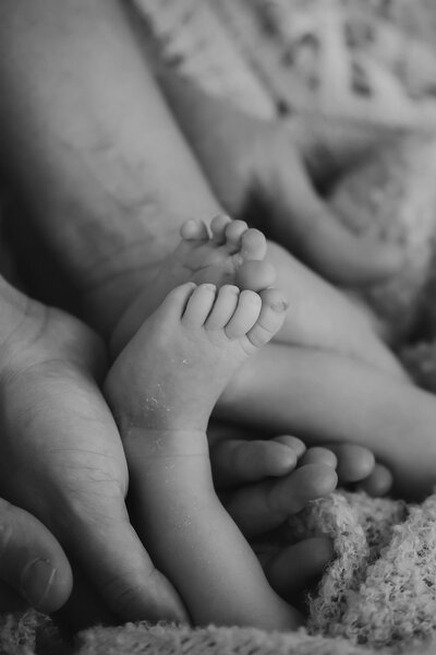 Axelle Photographie isère Naissance photos