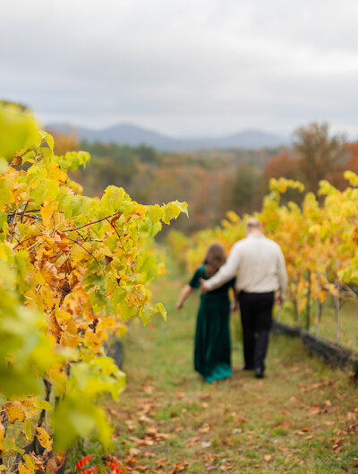 couple walking through vineyard in the fall in atlanta