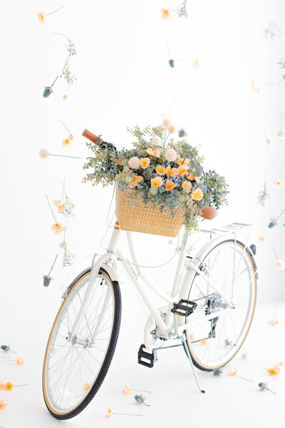 2025.03.17 Spring Install Jax Mini Sessions Studio-16050