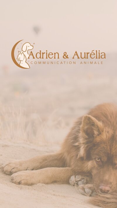 photos adrien&aurelia