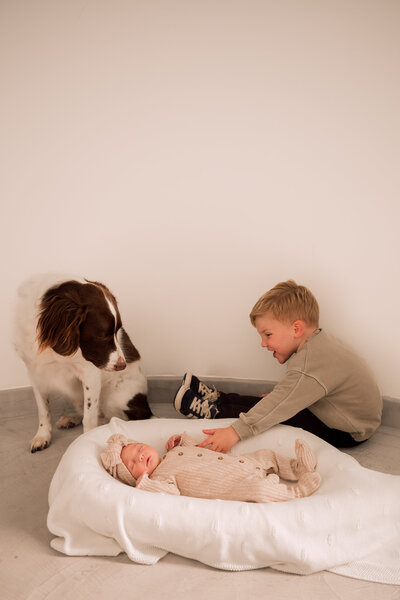Baby zusje in een mandje, grote broer aait zusje en hond kijkt toe