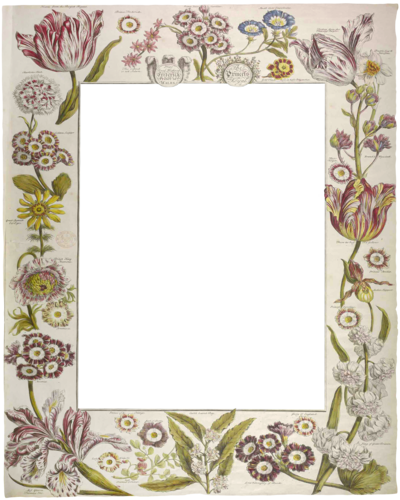 paper floral frame