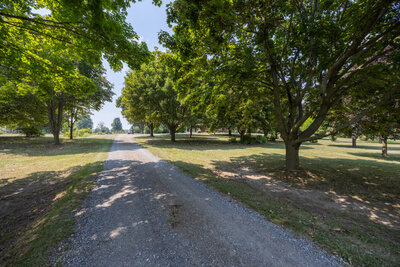 4756 Pollard laneway (1)