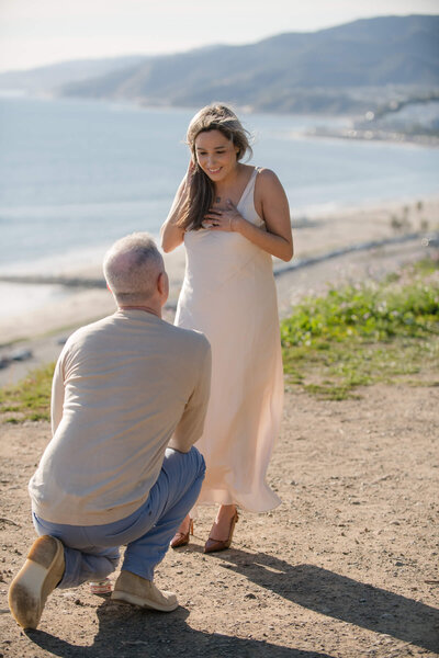 Sunset proposal at The Bluffs in Pacific Palisades
