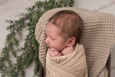 Baby boy wrapped in cream wrap neutral backdrop with greenery