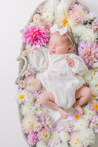 Newborn photograohy with dahlia flowers, chattanooga