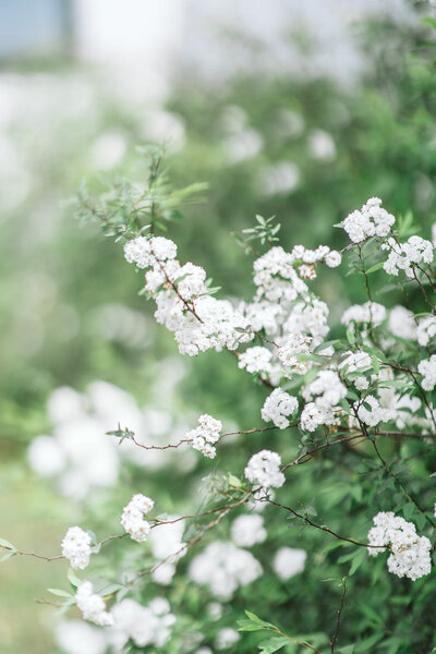 Alabama wedding photographer based in Tuscaloosa, Alabama. Wedding day captured in Demopolis, Alabama