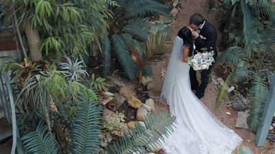 couple kissing in foliage