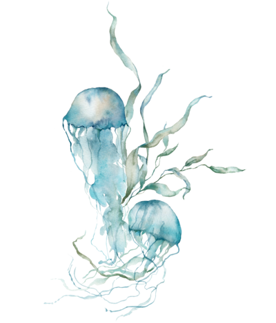 Jellyfishes dance