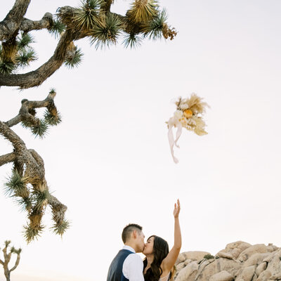 NOT FOR PERSONAL USE — Daniel Kim Joshua-Tree-Elopement-29-2048x2048
