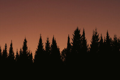 Sunset Elopement