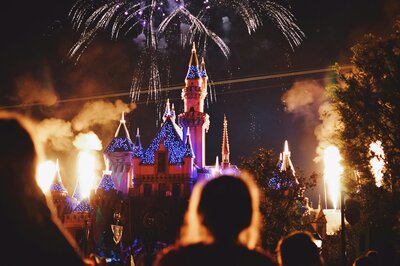 Magic Kingdom fireworks with silhouette of child watching, backview