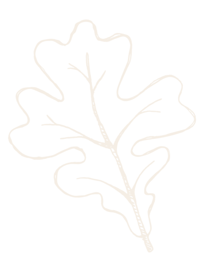 Oak leaf icon