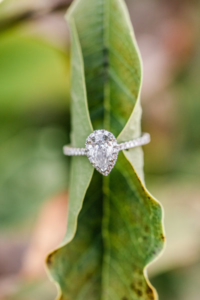 taylor_andrew_engaged-2744