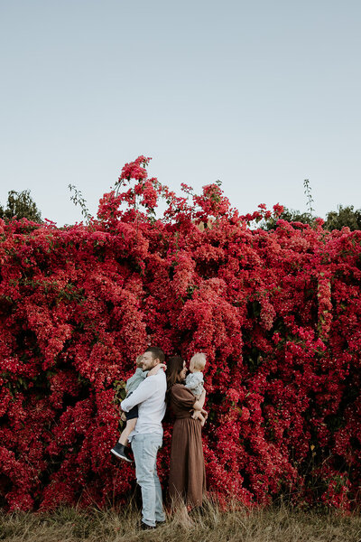 kara's family of four in front of a gorgeous giant red plant