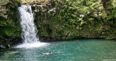 Maui Wedding Venues